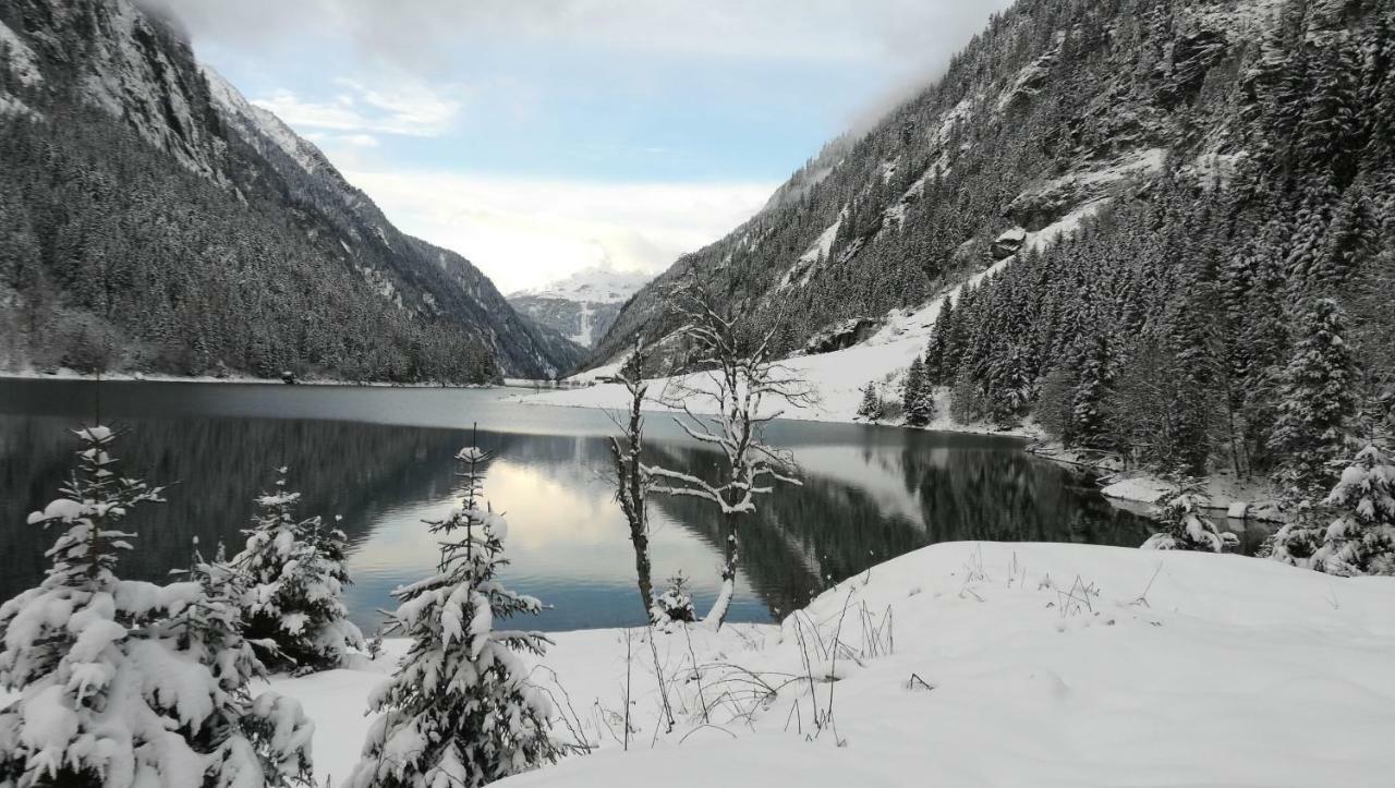 Waldrast Daire Finkenberg Dış mekan fotoğraf