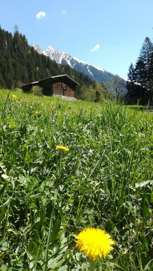 Waldrast Daire Finkenberg Dış mekan fotoğraf