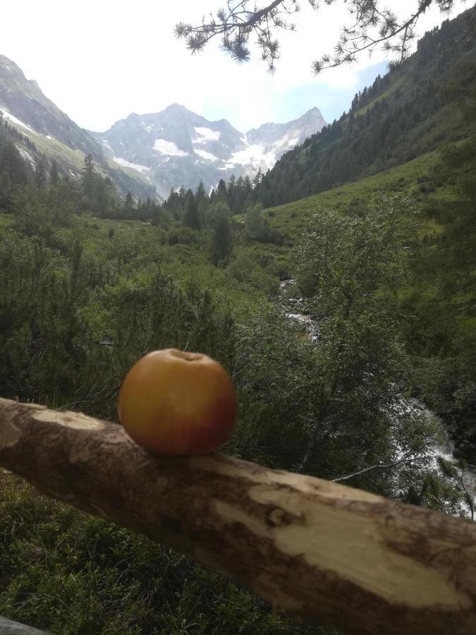Waldrast Daire Finkenberg Dış mekan fotoğraf